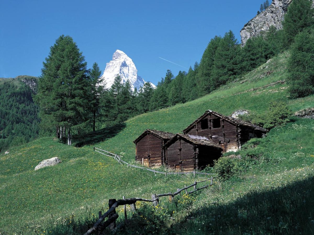 Apartment Chalet Dossen Zermatt Exteriör bild